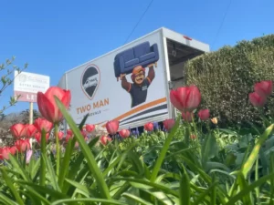 Plymouth removals